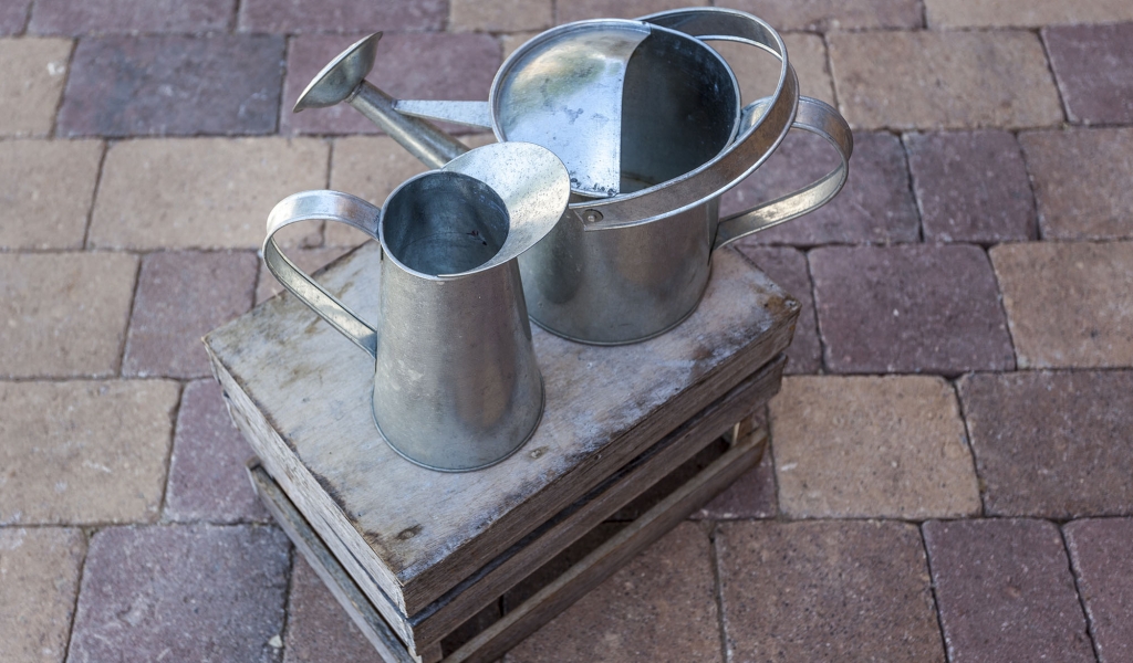 Quado. Restaurante Vara.Illescas.Toledo